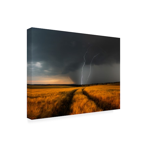 Nicolas Schumacher 'Wetterfront Storm' Canvas Art,35x47